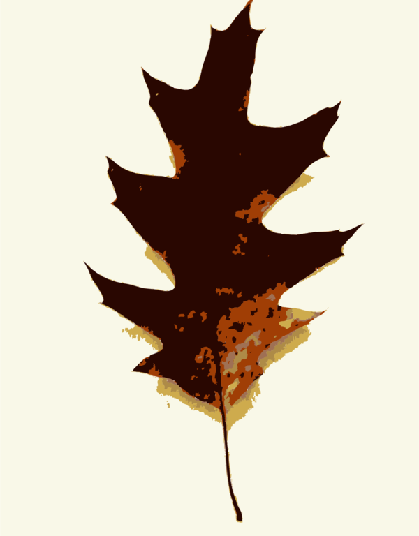 Free Autumn Leaf Maple Leaf Plant Clipart Clipart Transparent Background