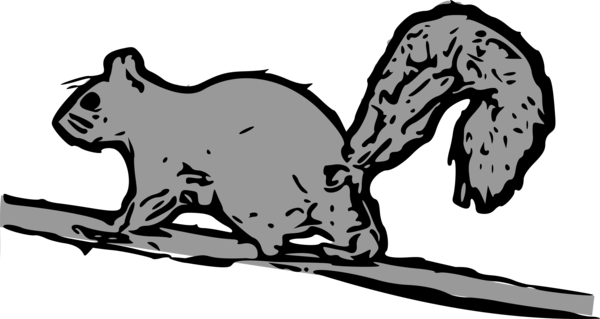 Free Squirrel Black And White Wildlife Line Art Clipart Clipart Transparent Background