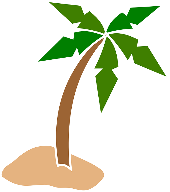 Free Tree Leaf Tree Woody Plant Clipart Clipart Transparent Background