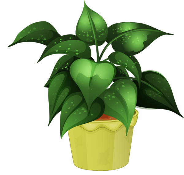 Free Fruit Plant Leaf Flowerpot Clipart Clipart Transparent Background