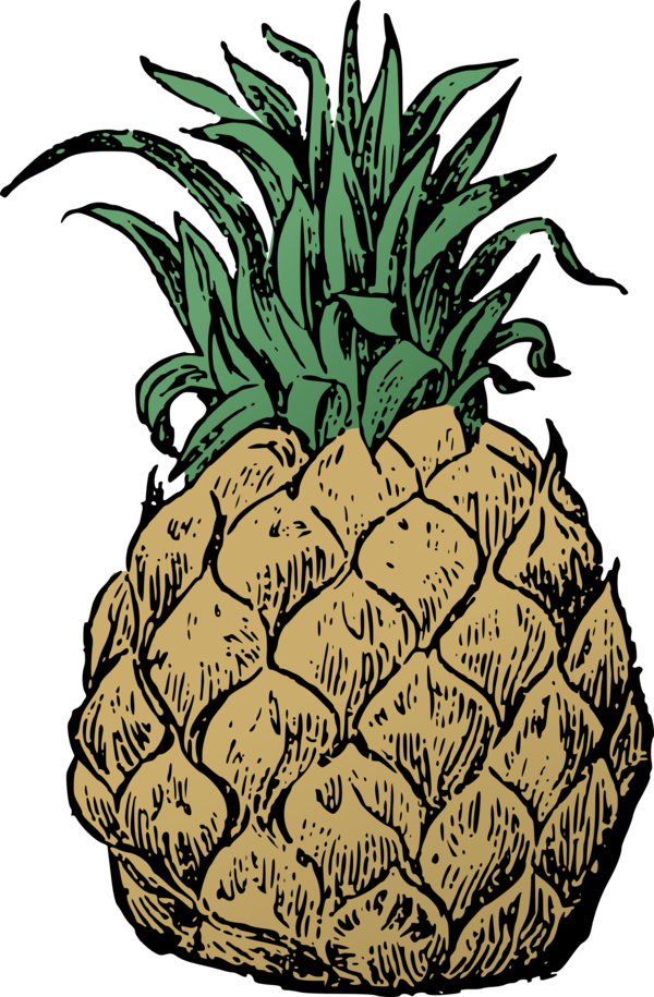 Free Fruit Plant Ananas Pineapple Clipart Clipart Transparent Background