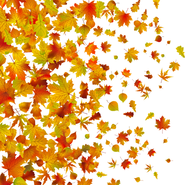 Free Autumn Leaf Maple Leaf Tree Clipart Clipart Transparent Background