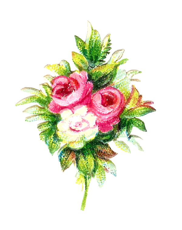 Free Wedding Flower Cut Flowers Flower Bouquet Clipart Clipart Transparent Background