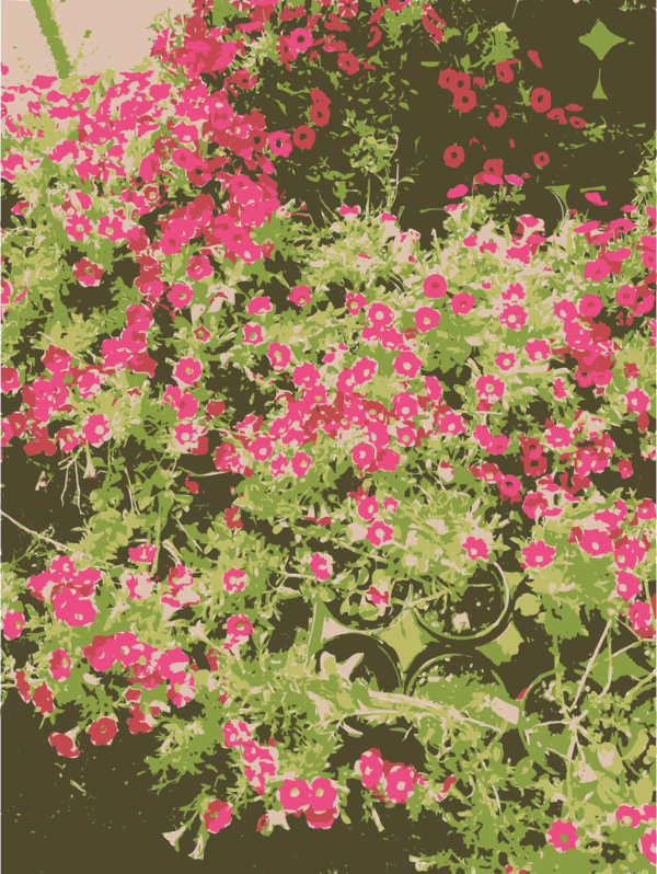 Free Family Flower Plant Flora Clipart Clipart Transparent Background