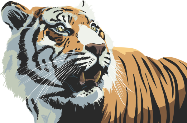 Free Tiger Tiger Wildlife Roar Clipart Clipart Transparent Background