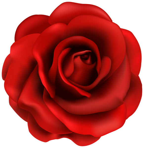 Free Rose Flower Rose Garden Roses Clipart Clipart Transparent Background