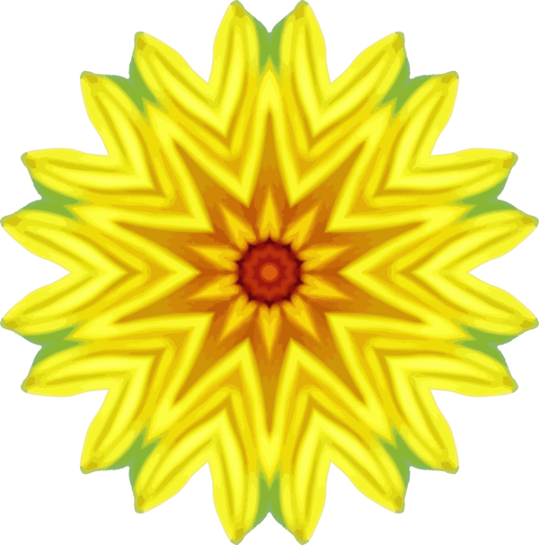 Free Daisy Flower Sunflower Symmetry Clipart Clipart Transparent Background