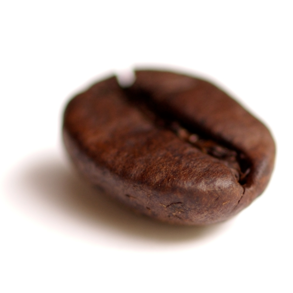 Free Coffee Chocolate Cocoa Bean Praline Clipart Clipart Transparent Background