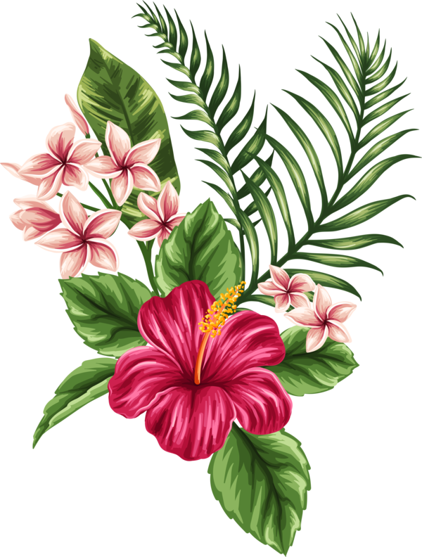 Free Hibiscus Flower Plant Leaf Clipart Clipart Transparent Background