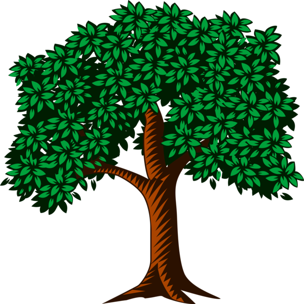 Free Fruit Tree Woody Plant Plant Clipart Clipart Transparent Background