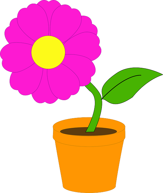 Free Family Flower Flowerpot Plant Clipart Clipart Transparent Background