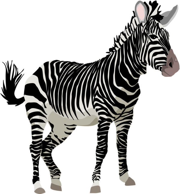 Free Zebra Zebra Wildlife Black And White Clipart Clipart Transparent Background