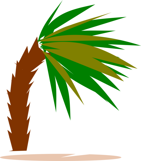 Free Leaf Leaf Tree Palm Tree Clipart Clipart Transparent Background