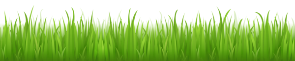 Free Grass Grass Grass Family Leaf Clipart Clipart Transparent Background