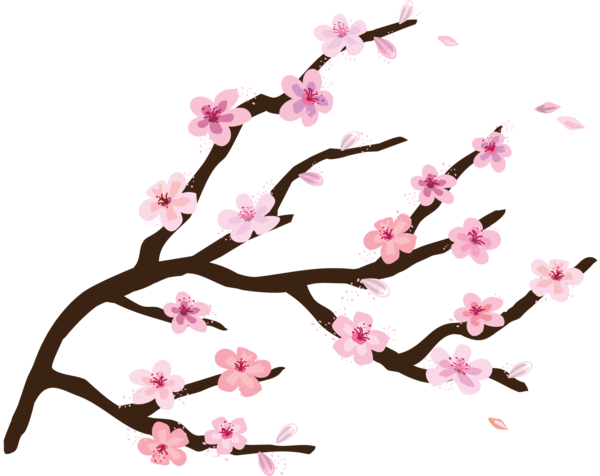 Free Spring Flower Blossom Branch Clipart Clipart Transparent Background