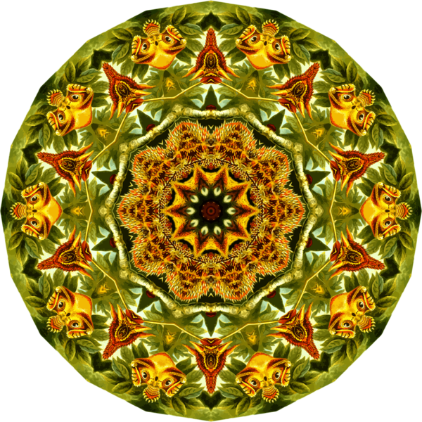 Free Lizard Flower Symmetry Kaleidoscope Clipart Clipart Transparent Background
