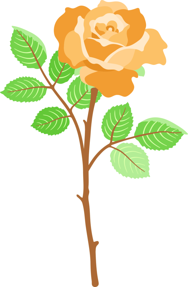 Free Rose Flower Plant Rose Family Clipart Clipart Transparent Background