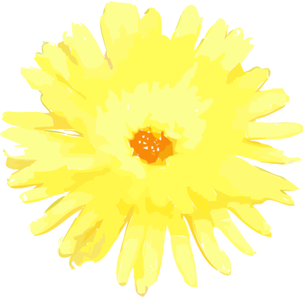 Free Daisy Flower Petal Sunflower Clipart Clipart Transparent Background
