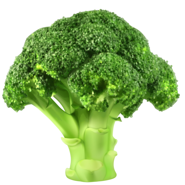 Free Vegetable Broccoli Leaf Vegetable Vegetable Clipart Clipart Transparent Background