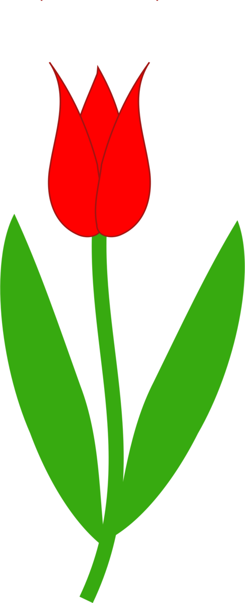 Free Tulip Flower Leaf Plant Clipart Clipart Transparent Background