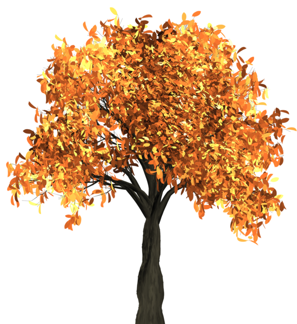 Free Autumn Tree Woody Plant Branch Clipart Clipart Transparent Background