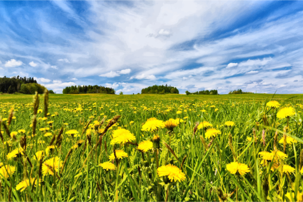 Free Spring Grassland Sky Meadow Clipart Clipart Transparent Background