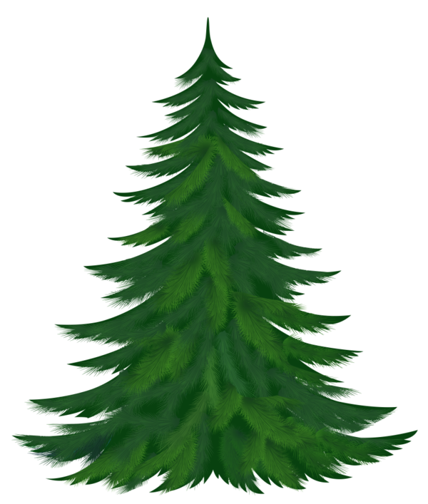 Free Christmas Tree Spruce Christmas Tree Clipart Clipart Transparent Background