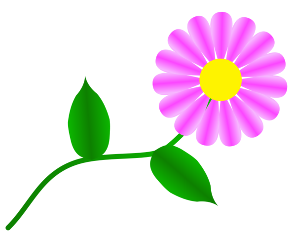 Free Daisy Flower Flora Plant Clipart Clipart Transparent Background