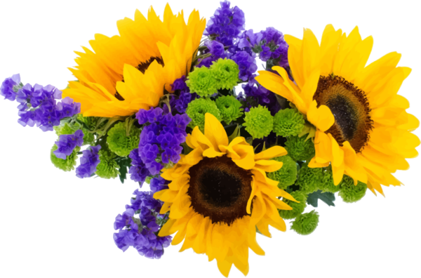 Free Friendship Day Flower Sunflower Cut Flowers Clipart Clipart Transparent Background