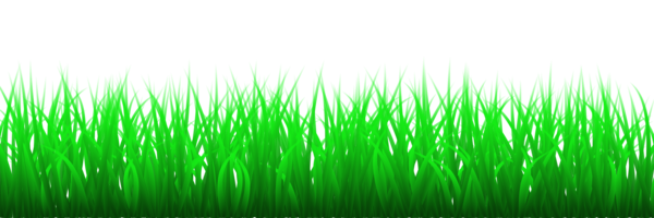 Free Garden Grass Plant Grass Family Clipart Clipart Transparent Background