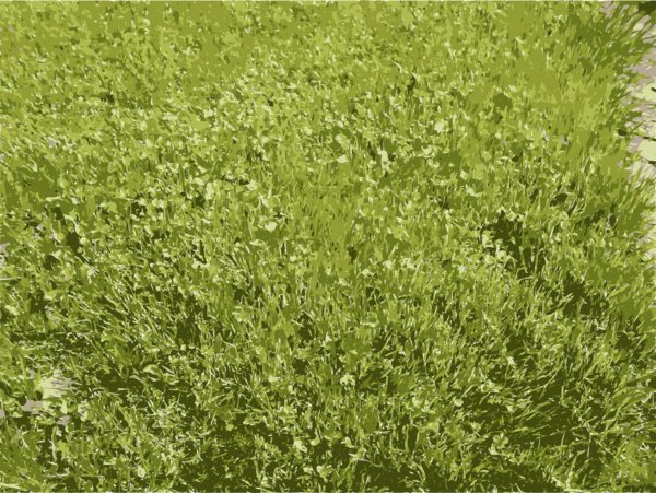 Free Herb Grass Ecosystem Vegetation Clipart Clipart Transparent Background
