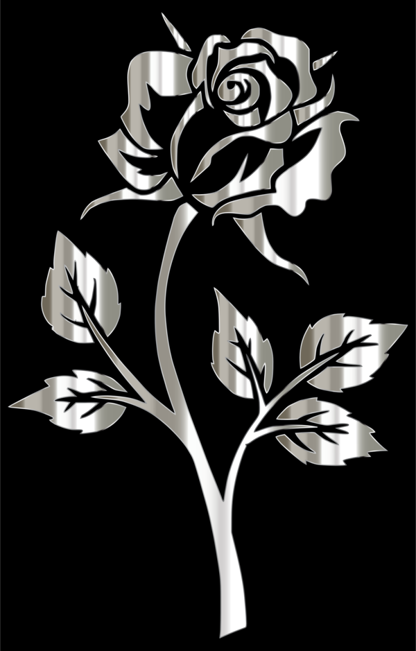 Free Rose Flower Black And White Flora Clipart Clipart Transparent Background