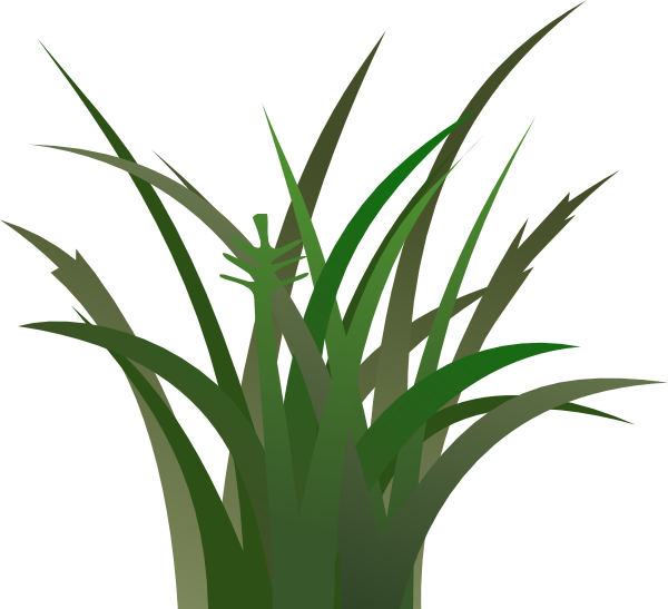Free Family Plant Grass Family Leaf Clipart Clipart Transparent Background