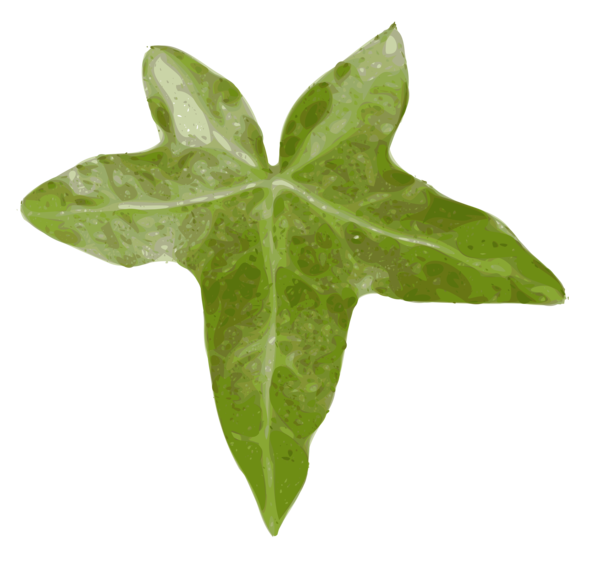 Free Family Leaf Plant Ivy Clipart Clipart Transparent Background