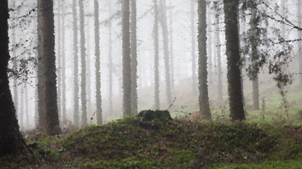 Free Landscape Ecosystem Forest Woodland Clipart Clipart Transparent Background