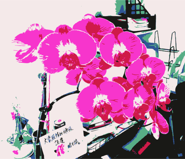 Free Orchid Flower Flora Plant Clipart Clipart Transparent Background