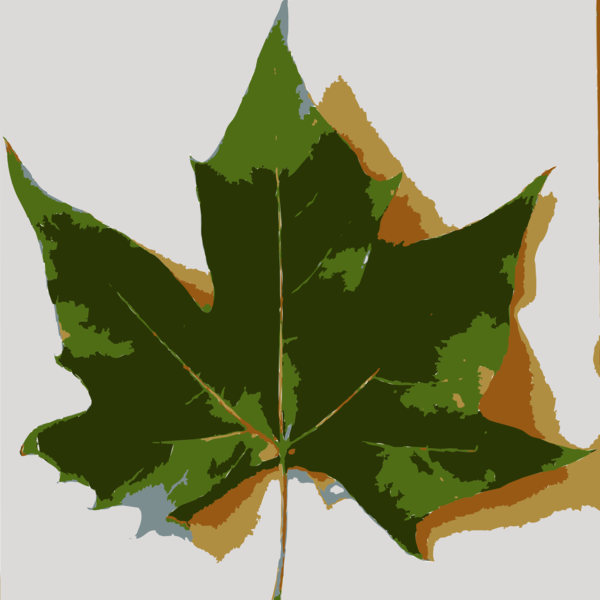 Free Family Leaf Plant Tree Clipart Clipart Transparent Background