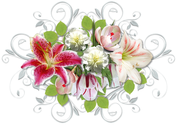 Free Lily Flower Flower Bouquet Plant Clipart Clipart Transparent Background