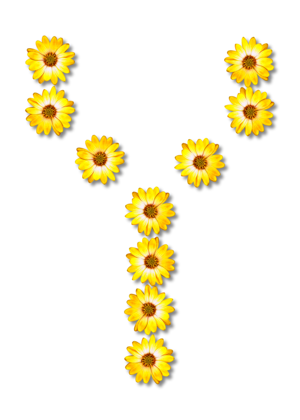 Free Sunflower Flower Sunflower Sunflower Seed Clipart Clipart Transparent Background