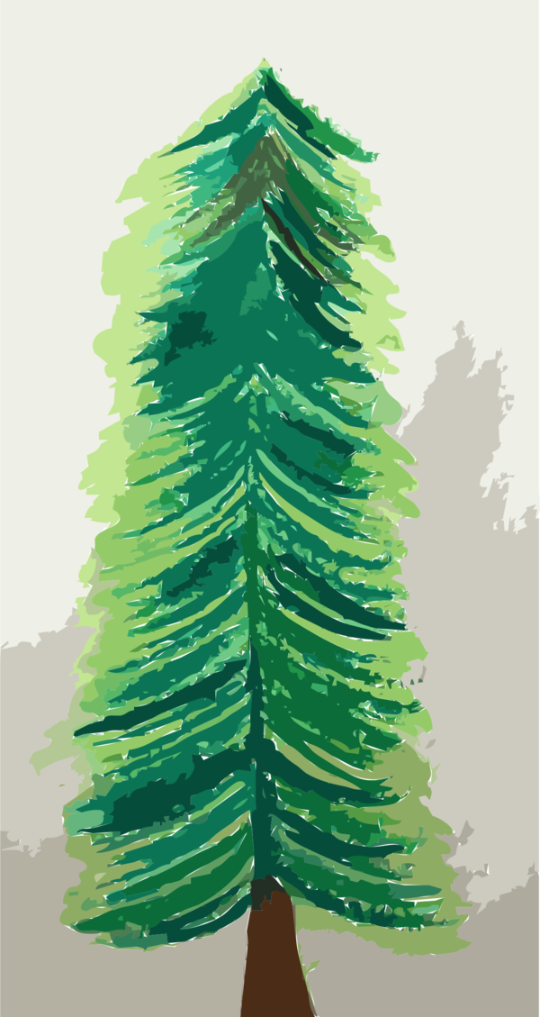 Free Leaf Christmas Tree Tree Pine Family Clipart Clipart Transparent Background