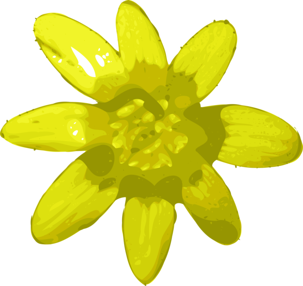 Free Daisy Flower Petal Flora Clipart Clipart Transparent Background