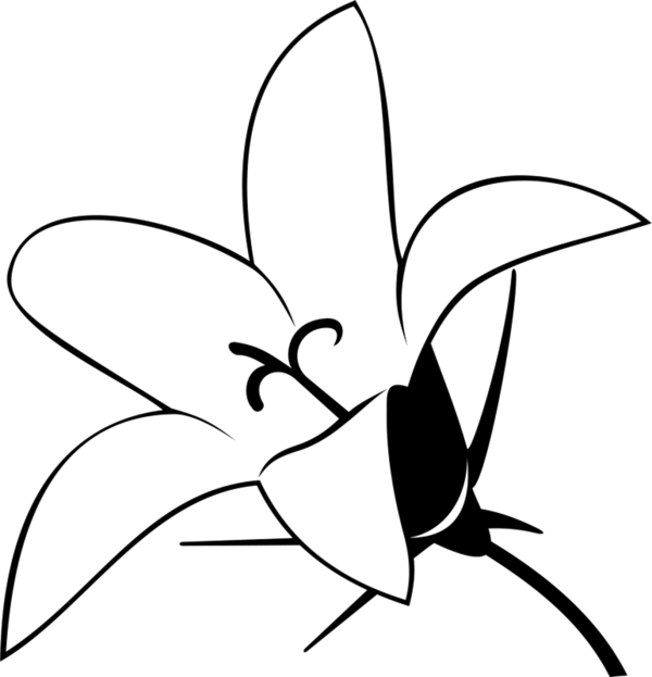 Free Lily Flower Flora Black And White Clipart Clipart Transparent Background