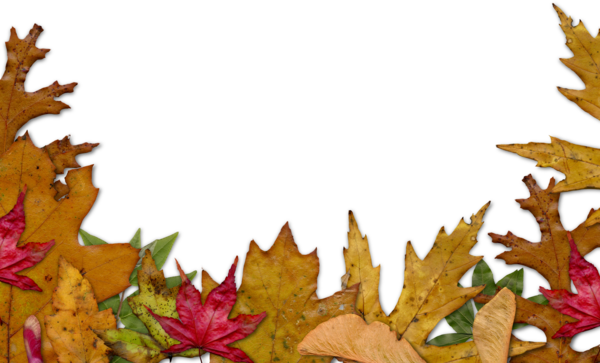 Free Autumn Leaf Autumn Maple Leaf Clipart Clipart Transparent Background