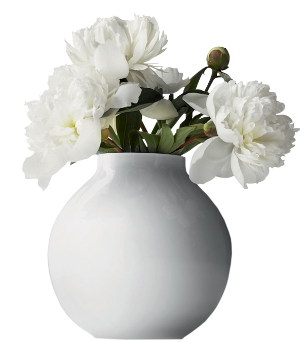 Free Family Vase Flower Cut Flowers Clipart Clipart Transparent Background