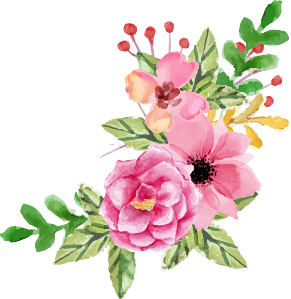 Free Peony Flower Flower Arranging Plant Clipart Clipart Transparent Background