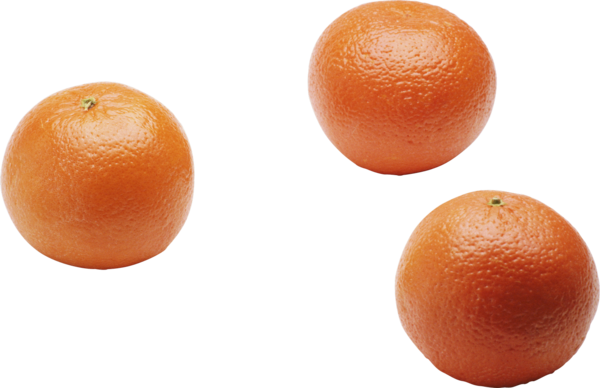 Free Fruit Fruit Citrus Clementine Clipart Clipart Transparent Background
