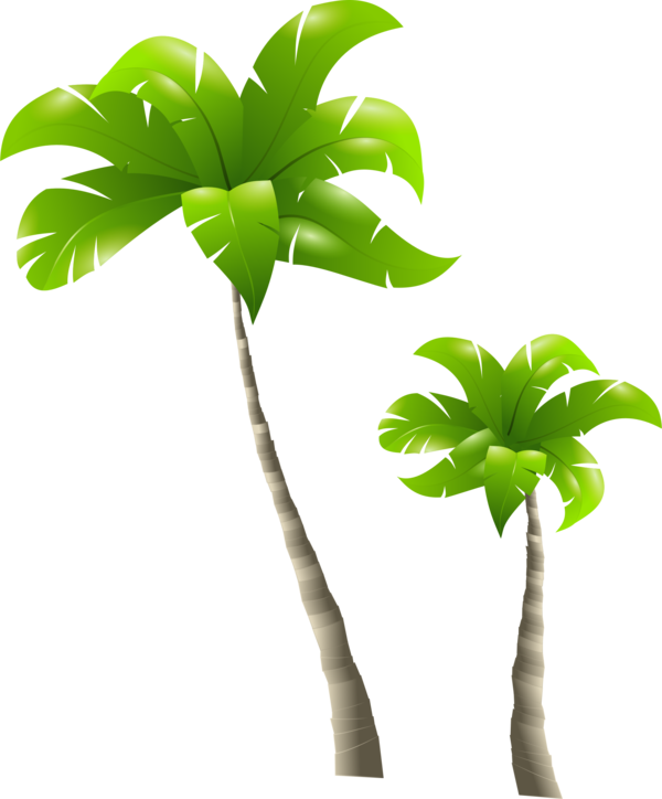 Free Tree Plant Tree Leaf Clipart Clipart Transparent Background