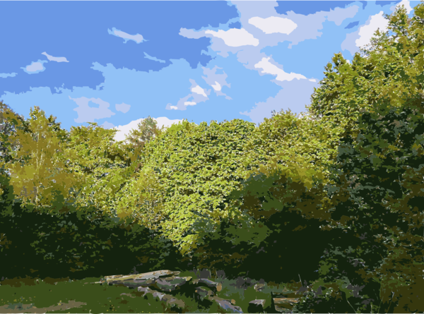 Free Spring Tree Vegetation Sky Clipart Clipart Transparent Background