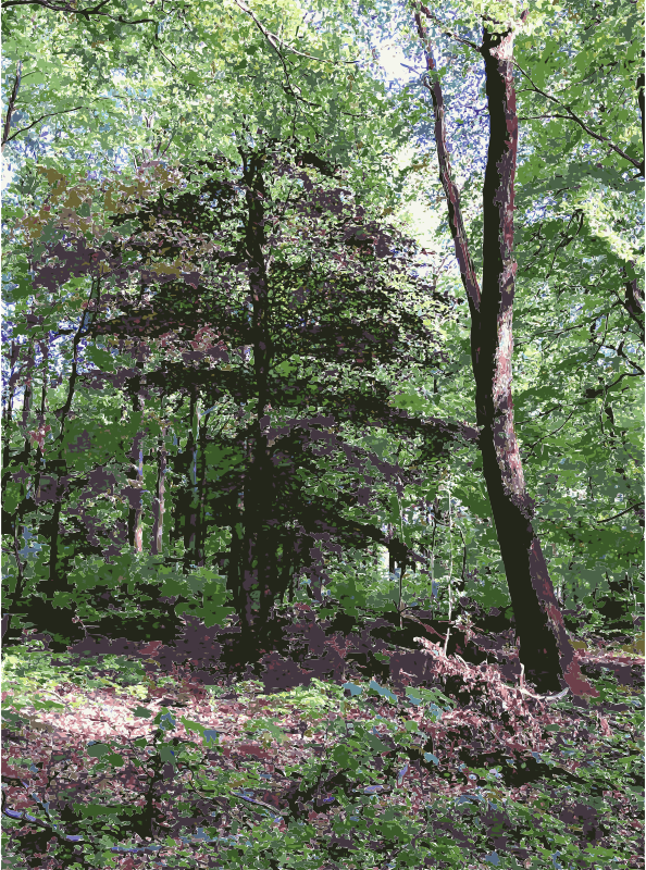 Free Grass Woodland Ecosystem Vegetation Clipart Clipart Transparent Background