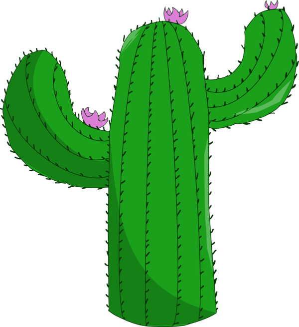 Free Cactus Plant Cactus Flowerpot Clipart Clipart Transparent Background